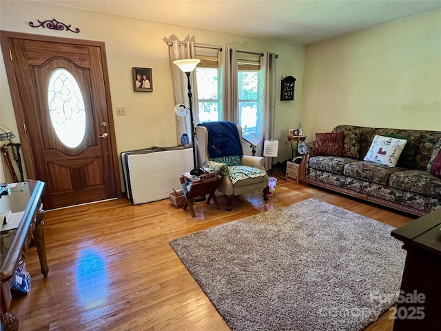 living room featuring wood finished floors