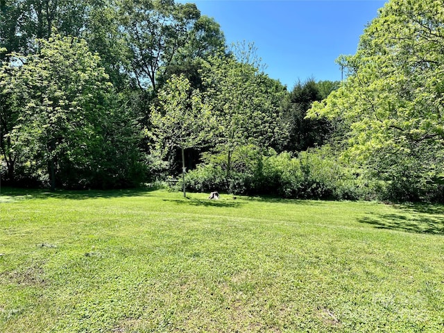 view of yard featuring a forest view