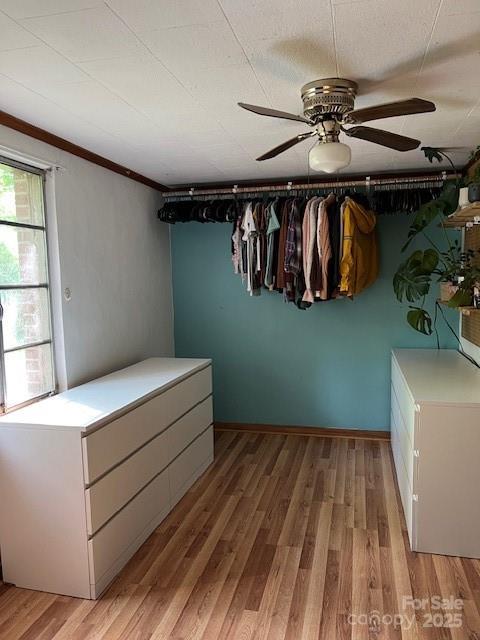 unfurnished bedroom with crown molding, a ceiling fan, and light wood-style flooring