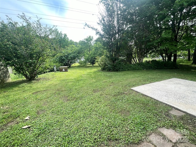 view of yard with a patio