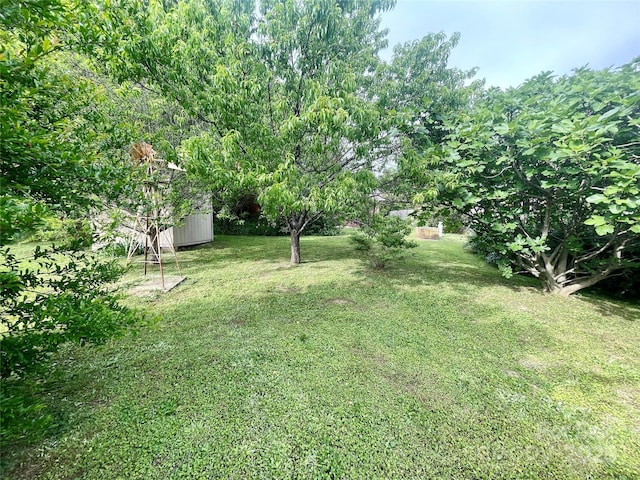 view of yard featuring a shed and an outbuilding
