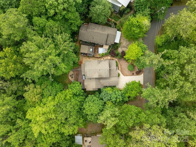 29 Ravenna St, Asheville, NC 28803 - bird's eye view