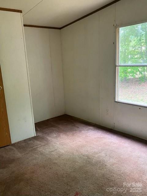 53 Green Leaf Dr, Nebo, NC 28761 - photo 8