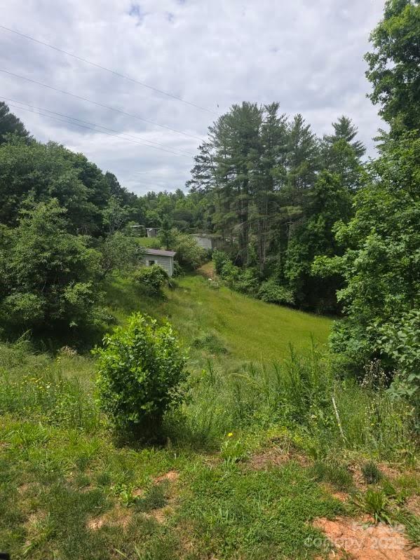 68 Upper White Oak Rd, Mars Hill, NC 28754 - view of tree filled area