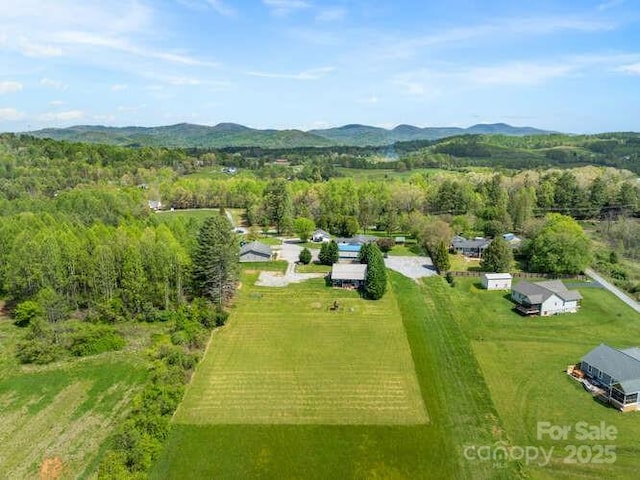 000 Twin Elm Knl, Hendersonville, NC 28792 - photo 1