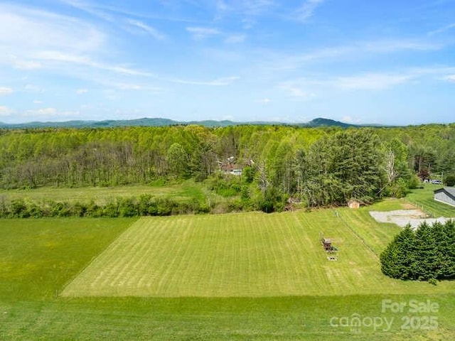 000 Twin Elm Knl, Hendersonville, NC 28792 - photo 6