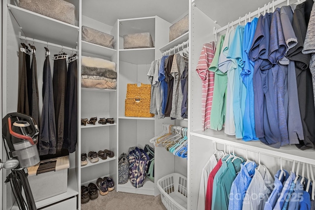 3736 Melrose Cottage Dr, Matthews, NC 28105 - view of spacious closet
