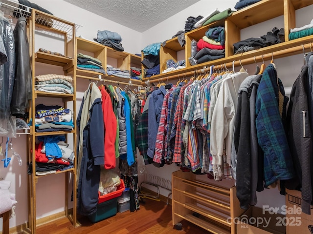 walk in closet featuring wood finished floors