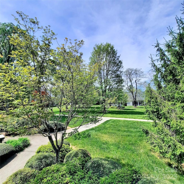 view of property's community with a yard