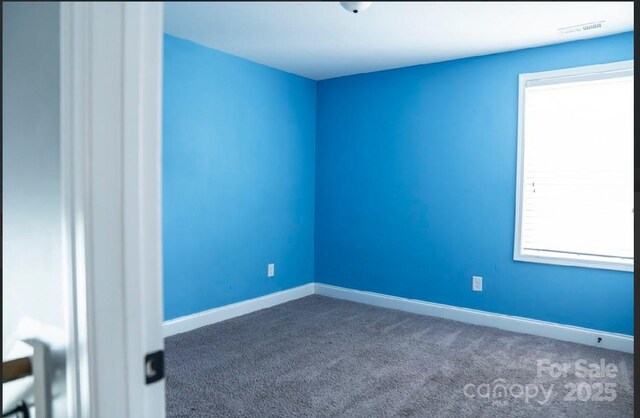 228 Bridgehaven Dr, Raeford Township, NC 28376 - photo 18