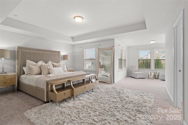 1287 Fishing Creek Rd, Lake Wylie, SC 29710 - bedroom with carpet, a tray ceiling, and baseboards