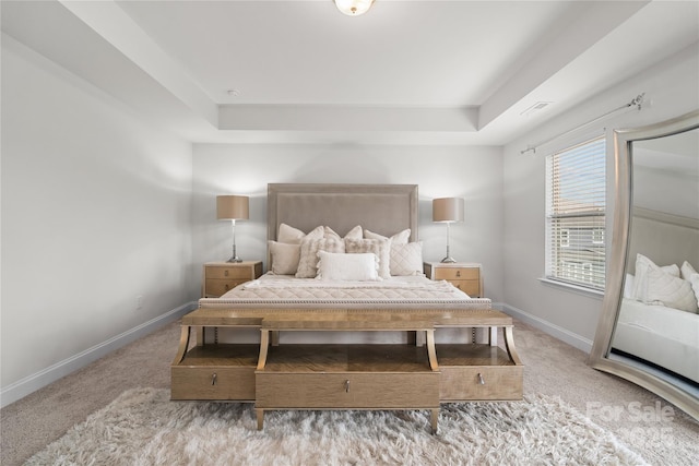 1287 Fishing Creek Rd, Lake Wylie, SC 29710 - bedroom featuring a raised ceiling, carpet flooring, and baseboards