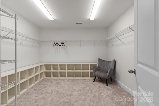 1287 Fishing Creek Rd, Lake Wylie, SC 29710 - spacious closet featuring carpet
