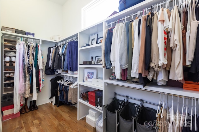 spacious closet featuring wood finished floors