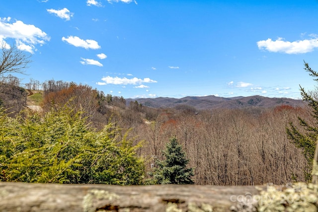 1873 El Miner Dr, Mars Hill, NC 28754 - mountain view with a wooded view
