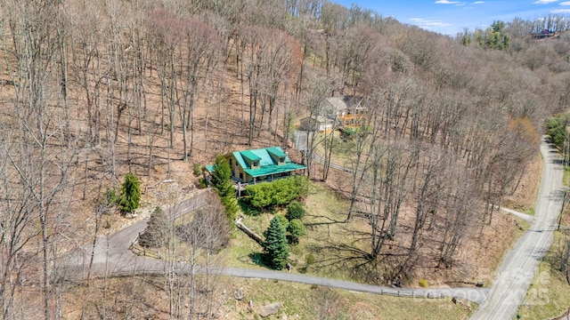 1873 El Miner Dr, Mars Hill, NC 28754 - drone / aerial view