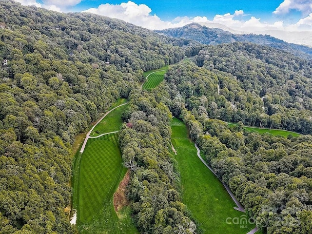1873 El Miner Dr, Mars Hill, NC 28754 - birds eye view of property featuring a mountain view and a view of trees