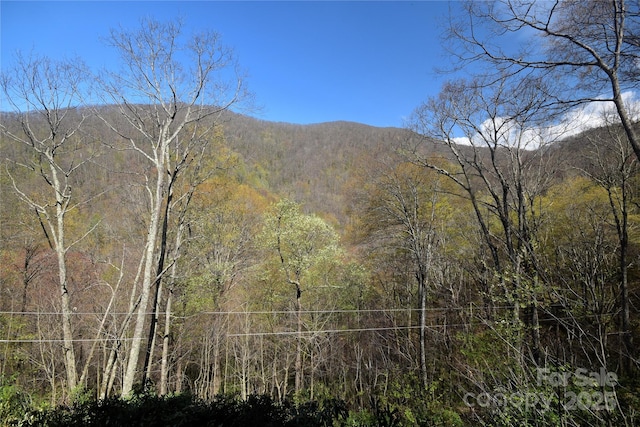 property view of mountains featuring a forest view