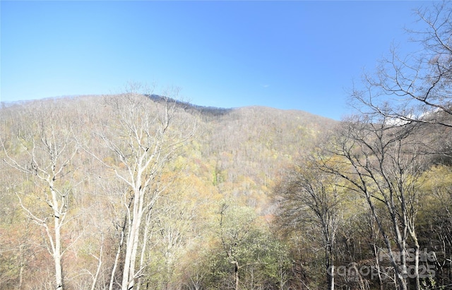 601 Tater Patch Rd, Maggie Valley, NC 28751 - view of mountain background featuring a heavily wooded area