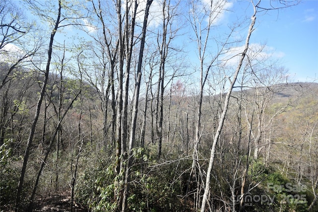 601 Tater Patch Rd, Maggie Valley, NC 28751 - view of woods