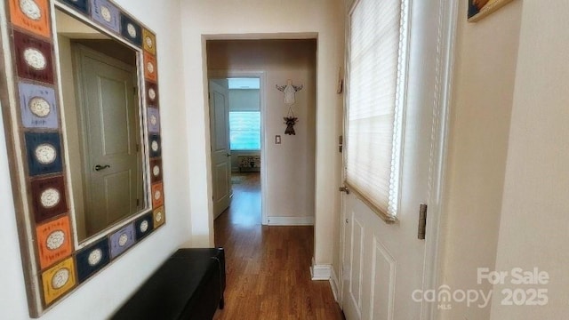 93 Foxden Dr Unit 101, Fletcher, NC 28732 - hall with dark wood finished floors and baseboards
