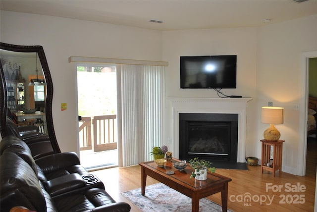 93 Foxden Dr Unit 101, Fletcher, NC 28732 - living room featuring wood finished floors and a fireplace with flush hearth
