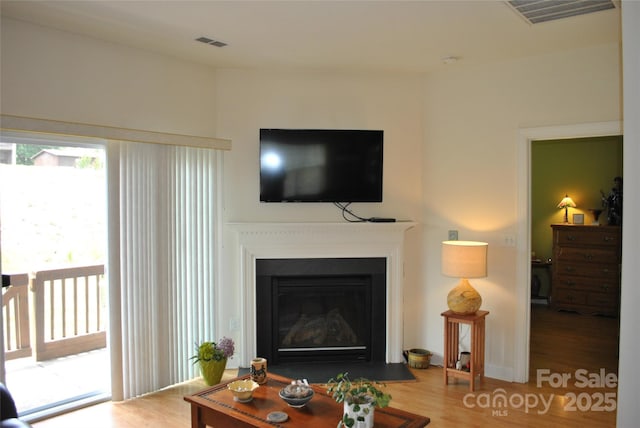 93 Foxden Dr Unit 101, Fletcher, NC 28732 - living room with wood finished floors and a glass covered fireplace