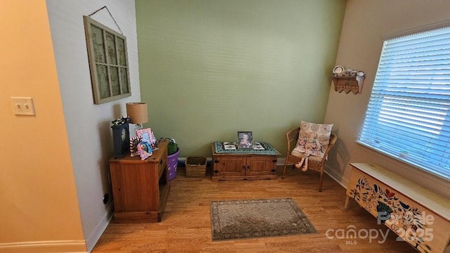 93 Foxden Dr Unit 101, Fletcher, NC 28732 - living area with wood finished floors and baseboards