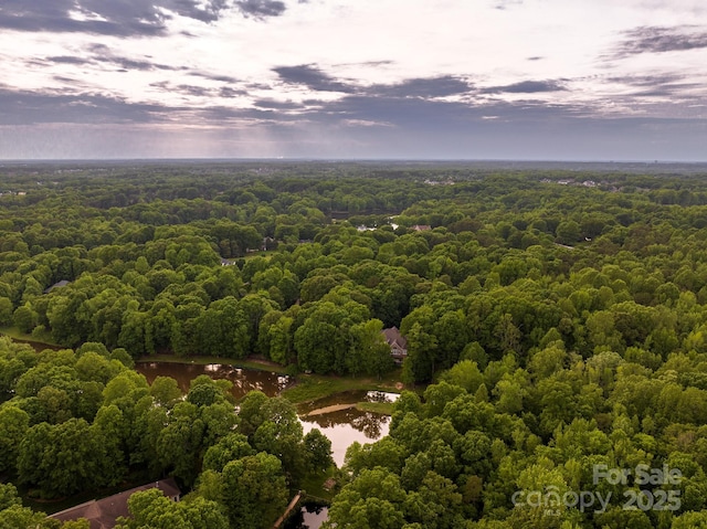 bird's eye view with a water view and a view of trees
