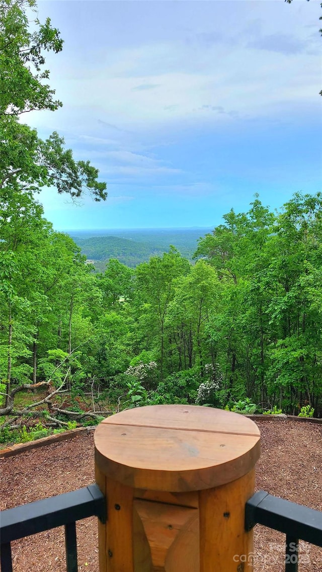 view of yard featuring a hot tub and a wooded view