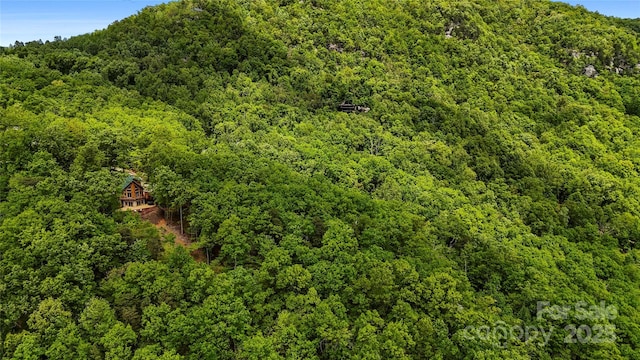 bird's eye view featuring a wooded view