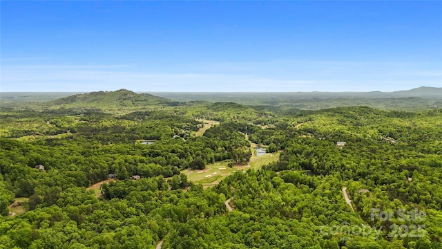 153 Chetan Way, Lake Lure, NC 28746 - bird's eye view featuring a wooded view and a mountain view