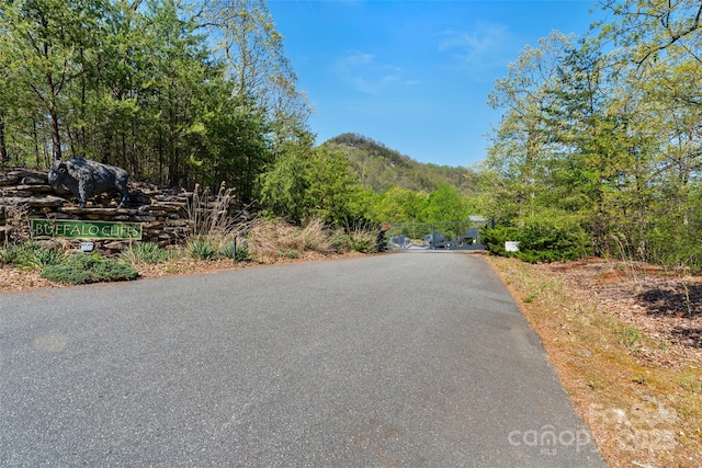 153 Chetan Way, Lake Lure, NC 28746 - view of street featuring a mountain view