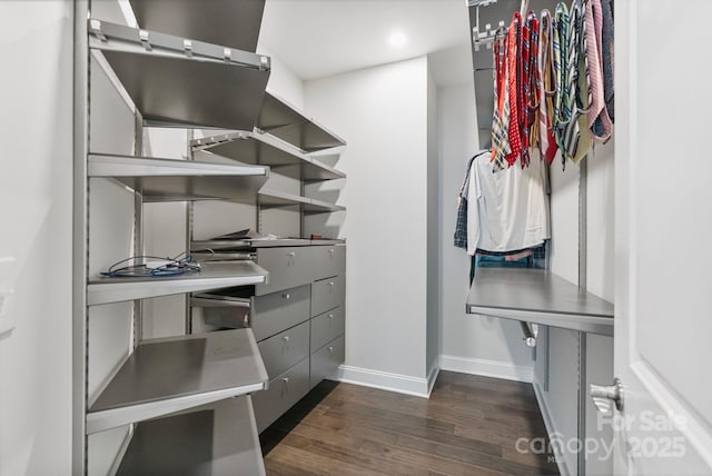 walk in closet with dark wood-style floors