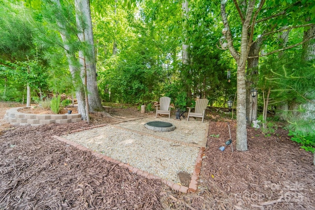 16507 Palisades Commons Dr, Charlotte, NC 28278 - view of yard with a patio