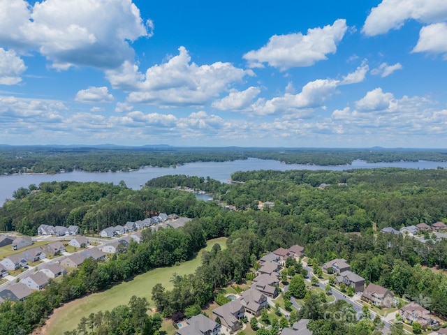 16507 Palisades Commons Dr, Charlotte, NC 28278 - aerial view of residential area with a large body of water and a forest