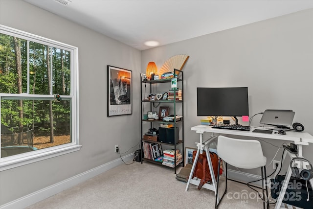 office space with baseboards and carpet flooring