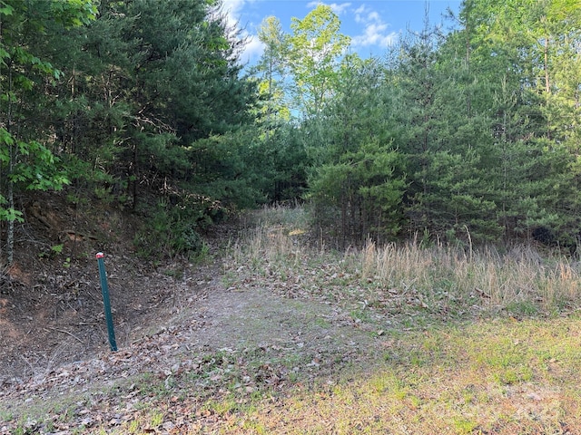 TBD Wolf Pen Rd Unit 27, Purlear, NC 28665