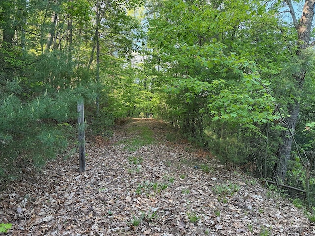 TBD Wolf Pen Rd Unit 27, Purlear, NC 28665