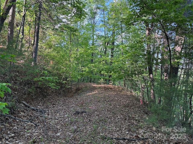 TBD Wolf Pen Rd Unit 27, Purlear, NC 28665