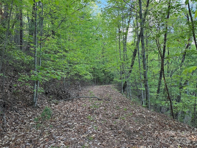 TBD Wolf Pen Rd Unit 27, Purlear, NC 28665