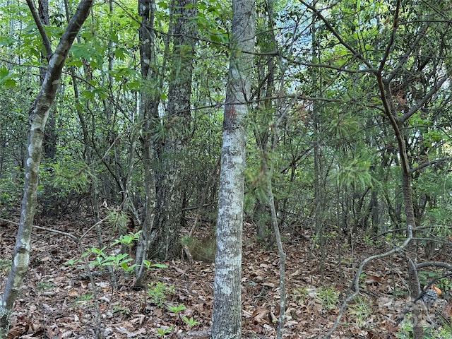 TBD Wolf Pen Rd Unit 27, Purlear, NC 28665