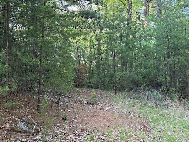 TBD Wolf Pen Rd Unit 27, Purlear, NC 28665