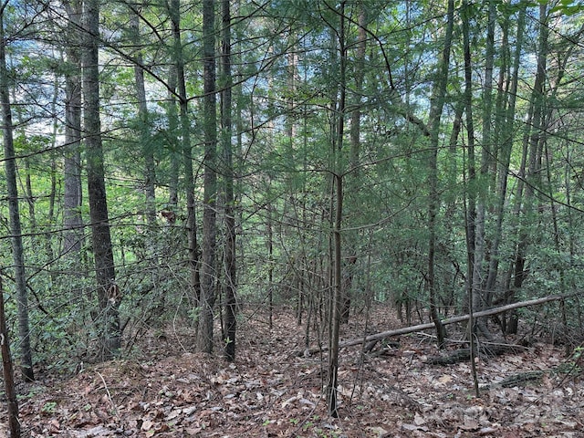 TBD Wolf Pen Rd Unit 27, Purlear, NC 28665