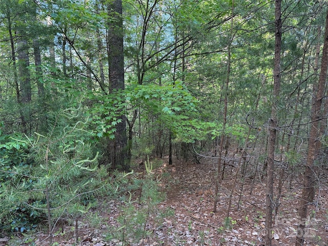 TBD Wolf Pen Rd Unit 27, Purlear, NC 28665