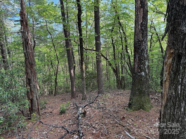 TBD Wolf Pen Rd Unit 27, Purlear, NC 28665
