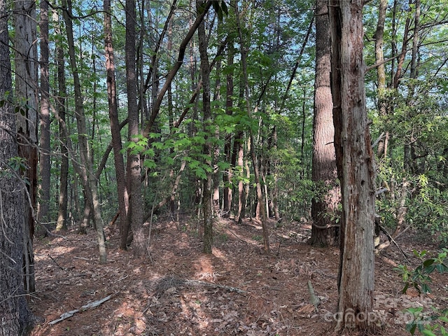 TBD Wolf Pen Rd Unit 27, Purlear, NC 28665