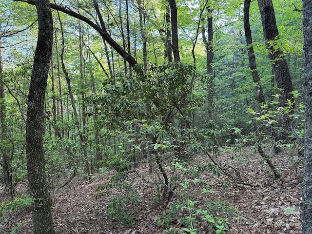 TBD Wolf Pen Rd Unit 27, Purlear, NC 28665
