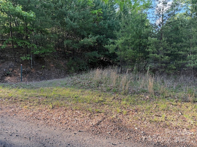 TBD Wolf Pen Rd Unit 27, Purlear, NC 28665