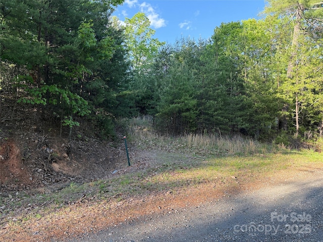 TBD Wolf Pen Rd Unit 27, Purlear, NC 28665